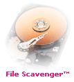File Scavenger Download