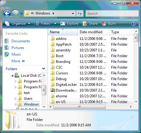 The Windows folder on a system drive
