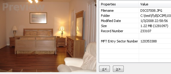 A recoverable picture in preview mode