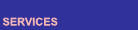 Data Recovery Services